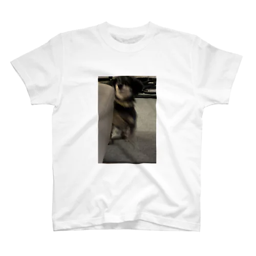 犬 スタンダードTシャツ