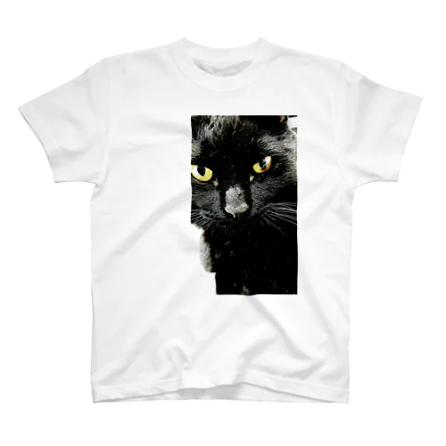 黒木さんちの黒猫Ｂ Regular Fit T-Shirt