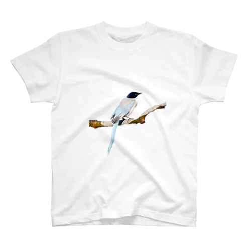 野鳥シリーズ オナガ スタンダードTシャツ