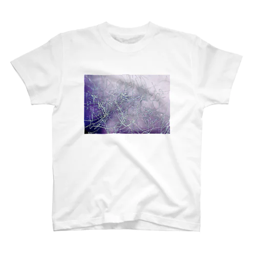 hortensia Regular Fit T-Shirt