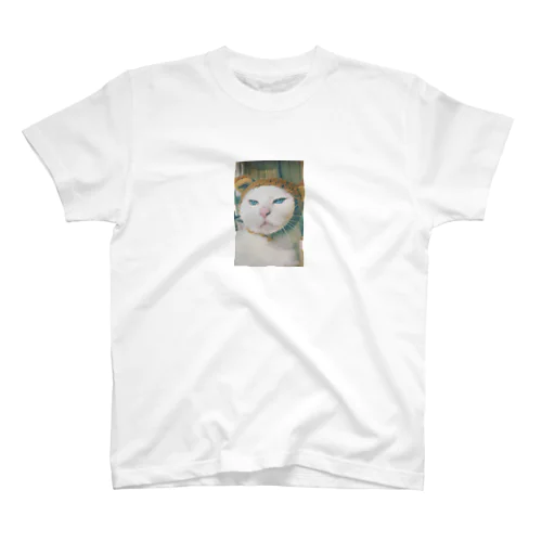 くまごはん Regular Fit T-Shirt