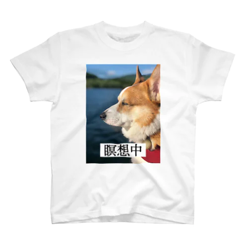 瞑想コーギー スタンダードTシャツ