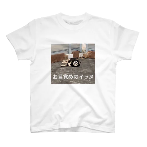 コタローくん Regular Fit T-Shirt