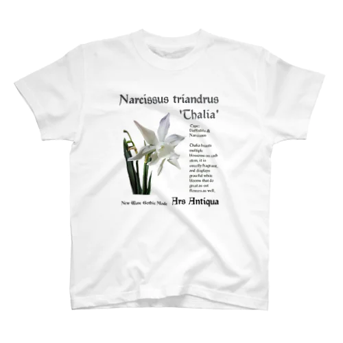 前面プリント Narcissus Triandrus 'Thalia' 1 Regular Fit T-Shirt
