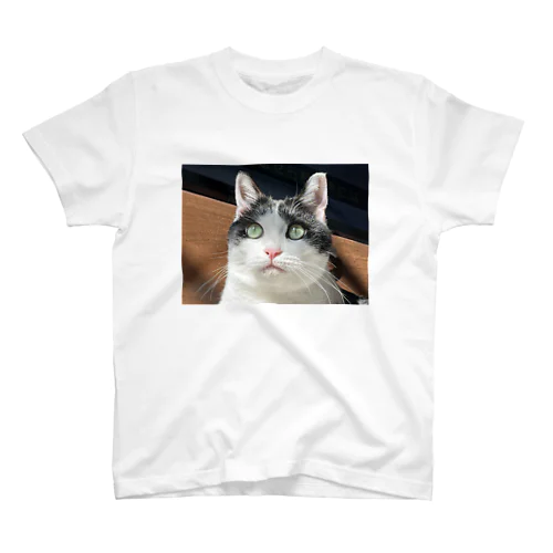 2022年1月28日の猫太郎 スタンダードTシャツ