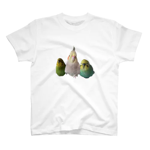 Birds Regular Fit T-Shirt