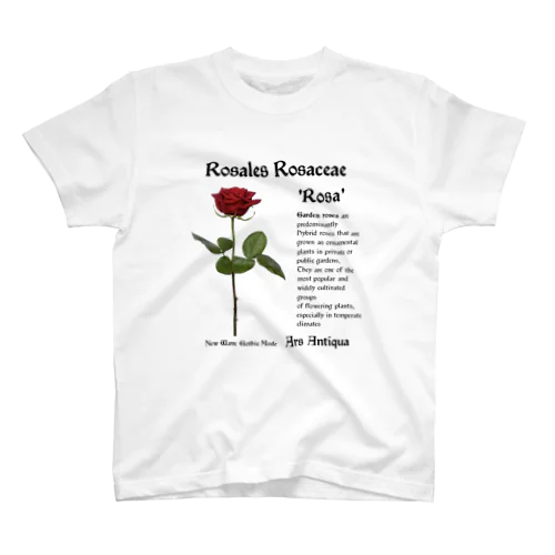 前面プリント Rosales Rosaceae 'Rosa' 1 Regular Fit T-Shirt