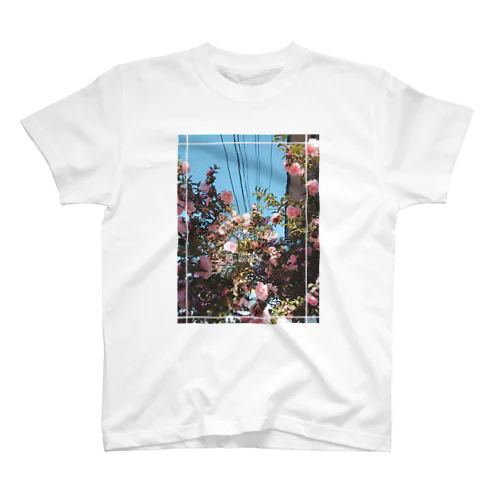 山茶花の色の美しさ スタンダードTシャツ