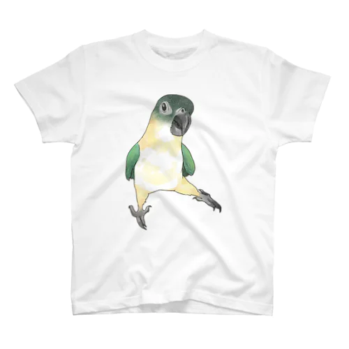 ご機嫌なズグロシロハラインコのカイ君【まめるりはことり】 スタンダードTシャツ