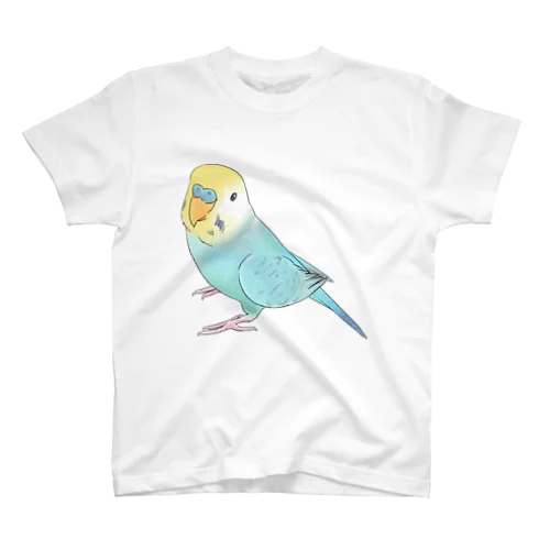 見上げるセキセイインコちゃん【まめるりはことり】 スタンダードTシャツ