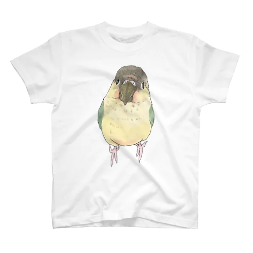 可愛いウロコメキシコインコちゃん【まめるりはことり】 スタンダードTシャツ