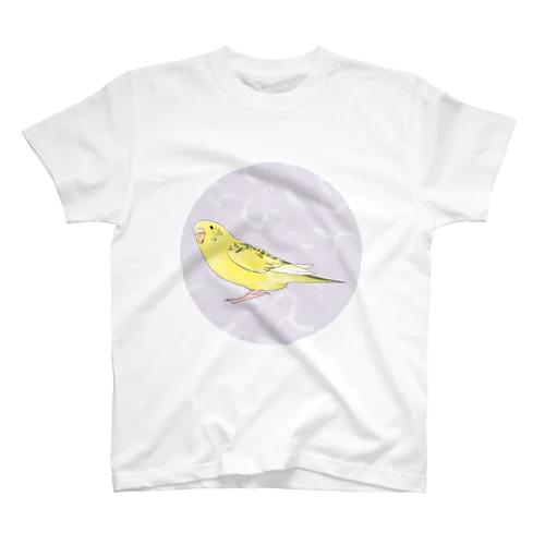 お空を見つめるセキセイインコちゃん【まめるりはことり】 スタンダードTシャツ