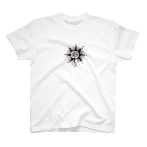 Ray Regular Fit T-Shirt