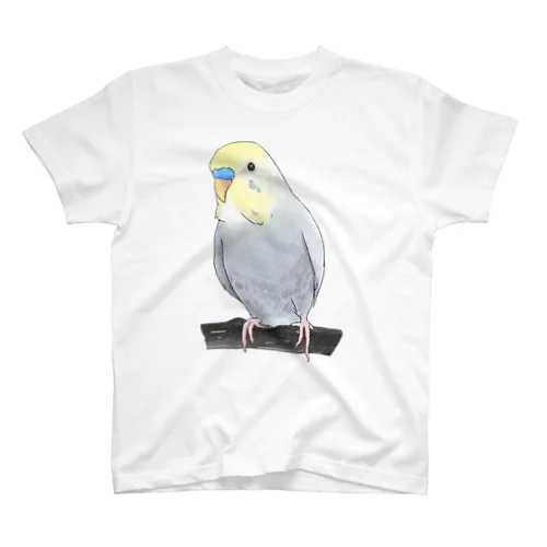 のんびりセキセイインコちゃん【まめるりはことり】 スタンダードTシャツ