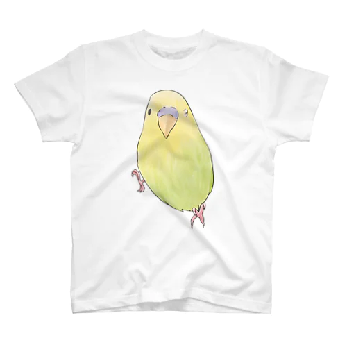 ウィンクするセキセイインコちゃん【まめるりはことり】 Regular Fit T-Shirt