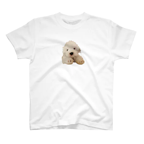 ふわふわシルクちゃん Regular Fit T-Shirt