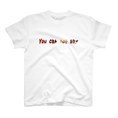 You can not say Regular Fit T-Shirt