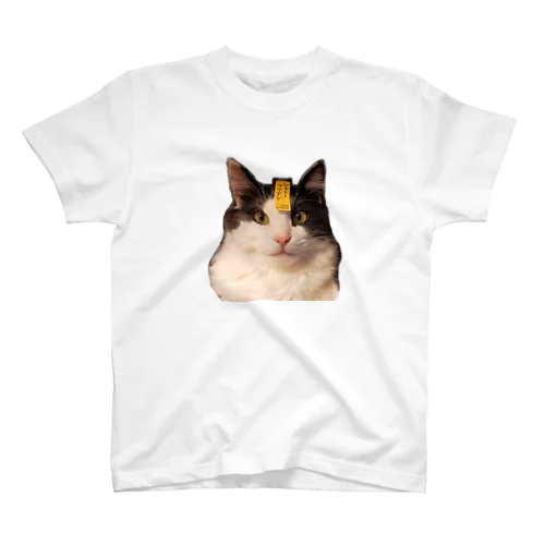 シャトーブリアン猫 スタンダードTシャツ