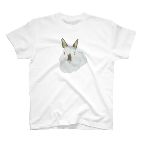 うさぎさん🐰ヒマラヤン Regular Fit T-Shirt