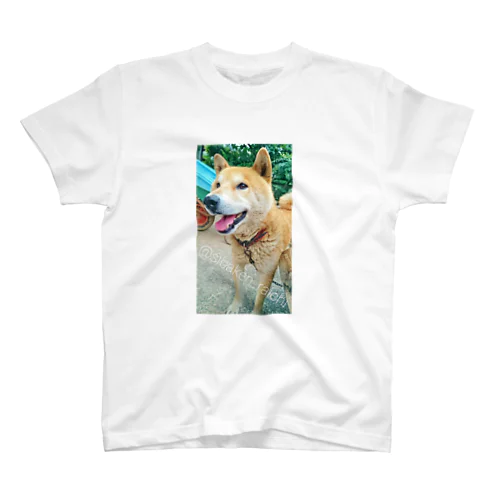 柴犬ライチ⑤ スタンダードTシャツ