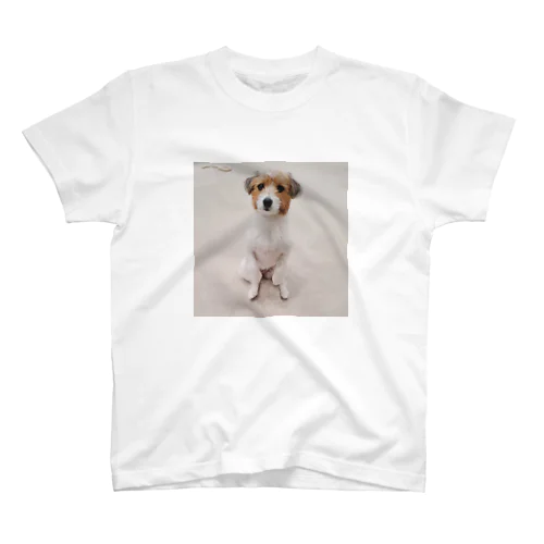 ロッティちゃん🐶 スタンダードTシャツ