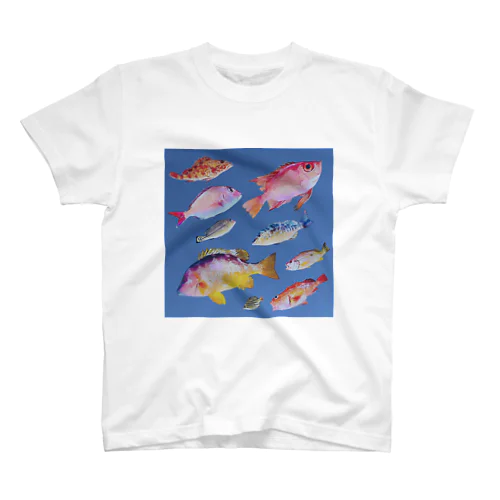 海部の魚 スタンダードTシャツ