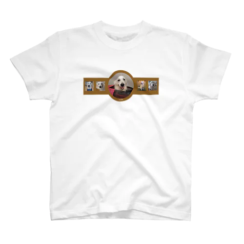 ゴールデン　ティアラ　×謎の白枠あり！！！ Regular Fit T-Shirt