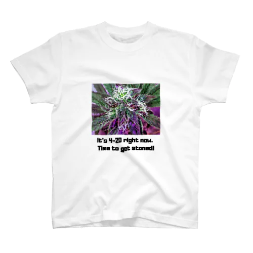 420 Time to get stoned! Regular Fit T-Shirt