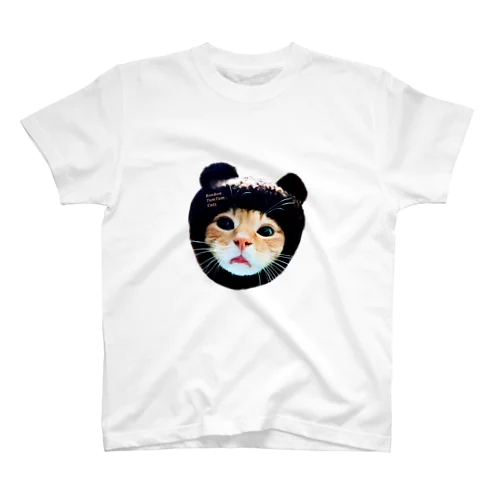 クマさんになった猫 スタンダードTシャツ