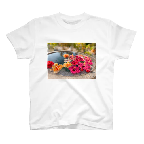 ハイビスカス🌺 スタンダードTシャツ