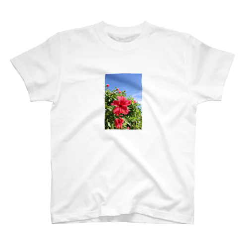 Memory of Summer スタンダードTシャツ