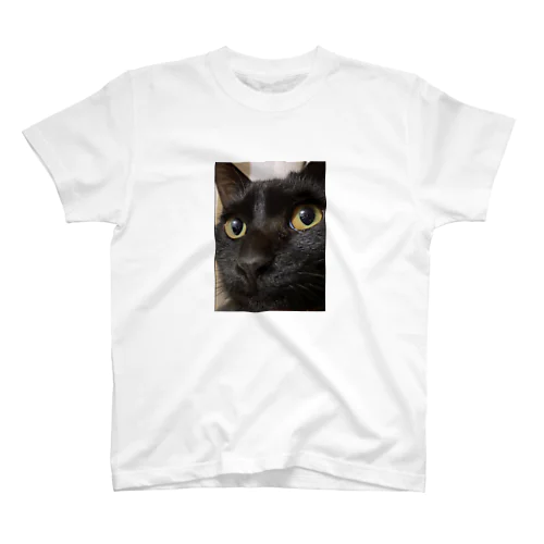 黒猫天ちゃん Regular Fit T-Shirt