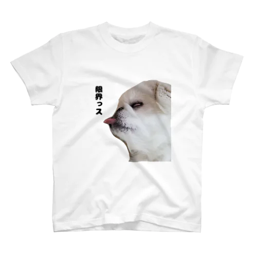 ぺき犬(限界)シンプル スタンダードTシャツ