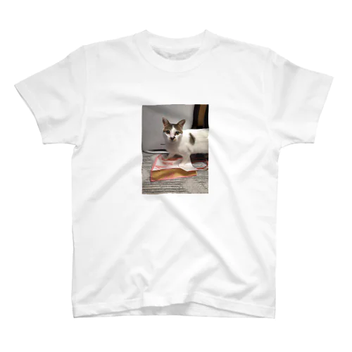 猫 Regular Fit T-Shirt