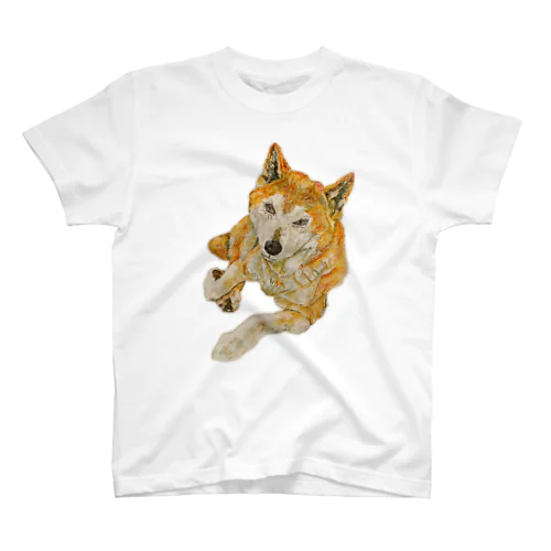 柴犬 Regular Fit T-Shirt