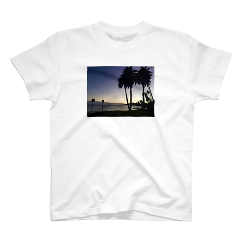 HAWAII T-SHIRT/SWETER Regular Fit T-Shirt