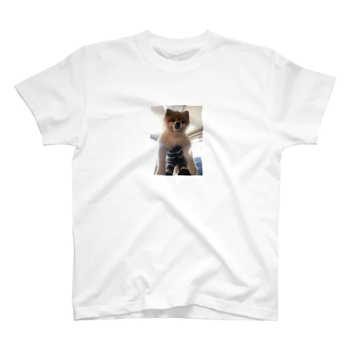飛行機ポッキー Regular Fit T-Shirt