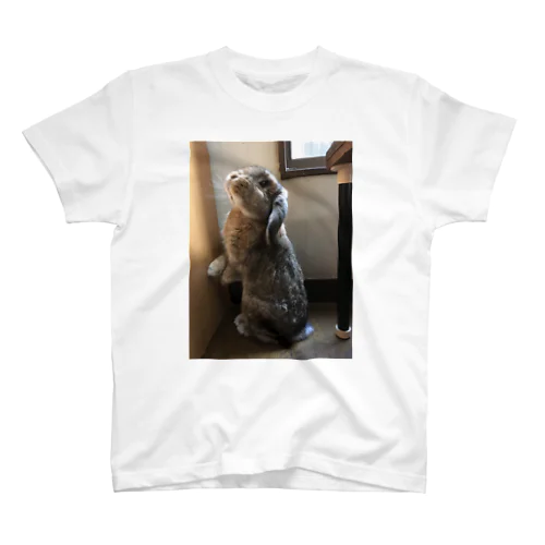 たちおにぎり Regular Fit T-Shirt