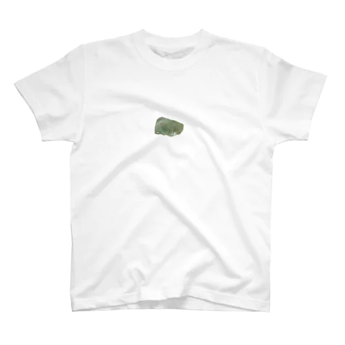 Fluorite Regular Fit T-Shirt