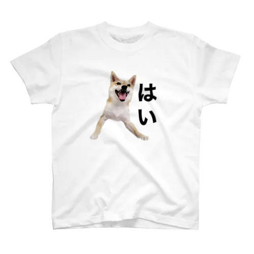 虎太郎9 Regular Fit T-Shirt