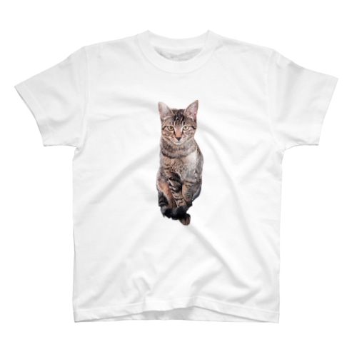 もみじさん Regular Fit T-Shirt