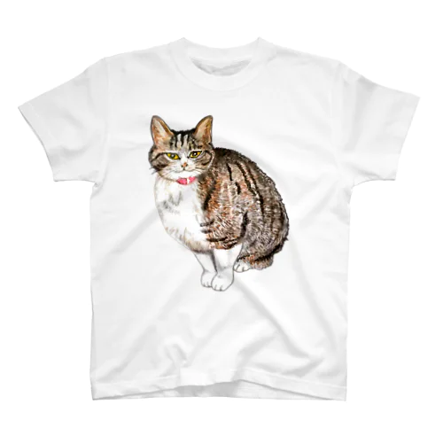 猫のチーちゃん スタンダードTシャツ