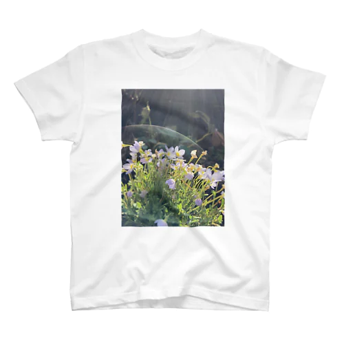 植物のオーラ Regular Fit T-Shirt