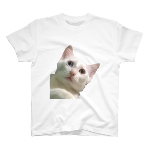 素数を数える猫Tシャツ スタンダードTシャツ
