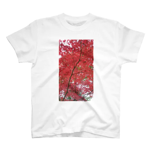 紅葉 スタンダードTシャツ