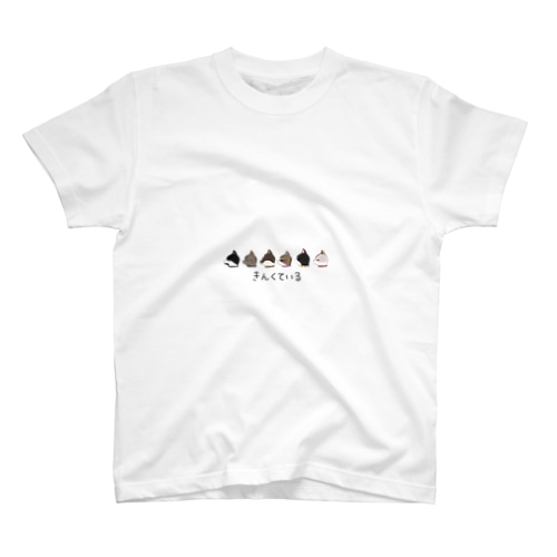 きんくている🐾 Regular Fit T-Shirt