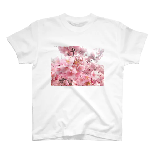 桜満開 スタンダードTシャツ