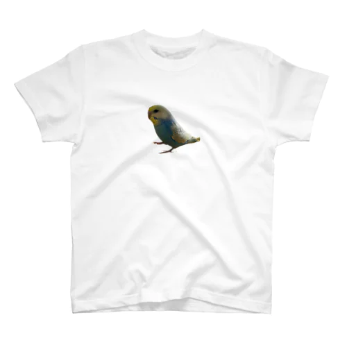 遊びすぎて頭が汚れてしまったセキセイインコくん スタンダードTシャツ