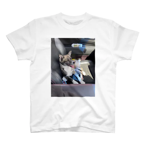 🌺琉球犬柄りり🐶 Regular Fit T-Shirt