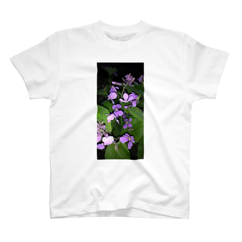 紫花菜 スタンダードTシャツ